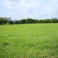 51194790676 ea582bf868 o
