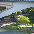 P7161266